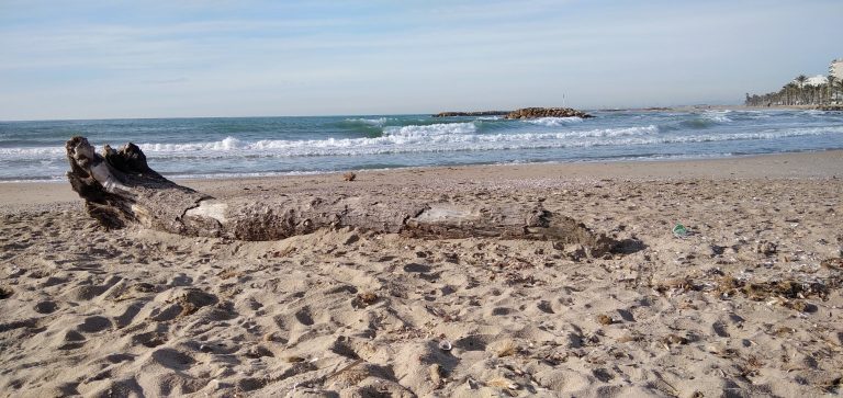 Platja Llarga - Ibersol