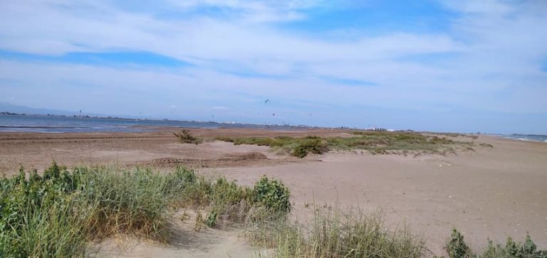Punta del Fangar