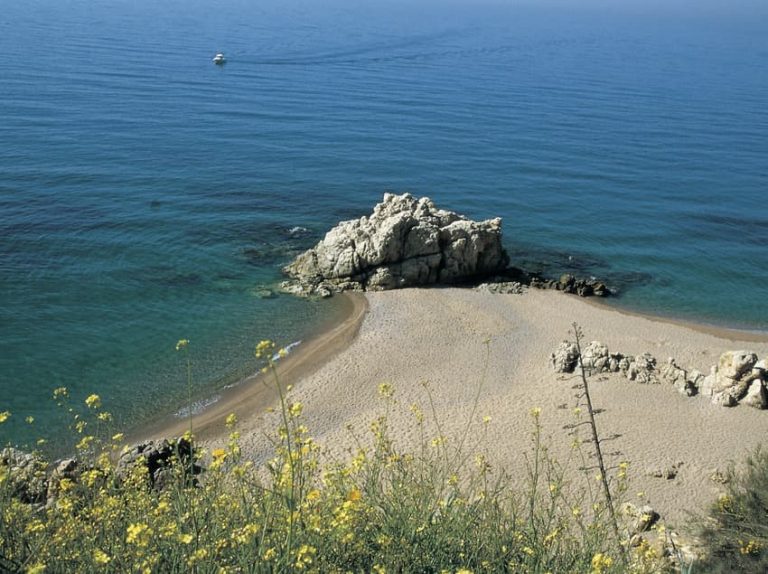 Les Roques