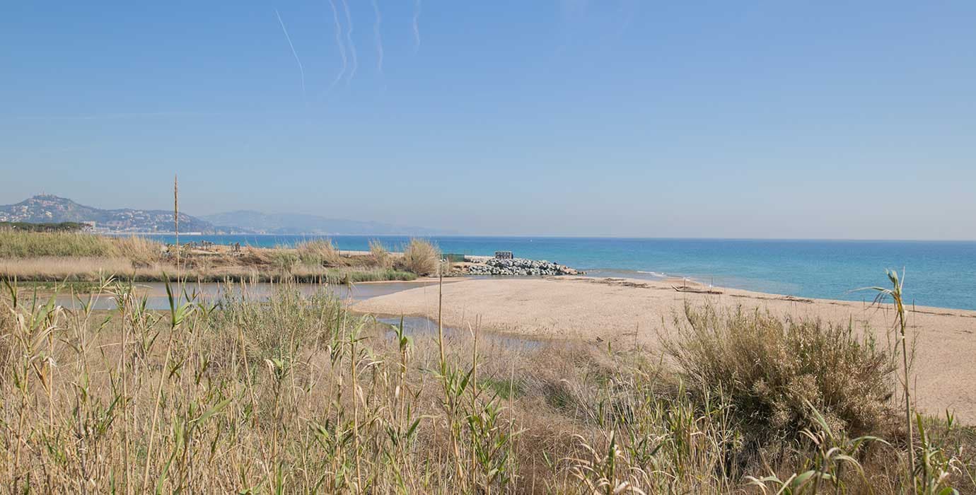 Playa de la Punta de la Tordera