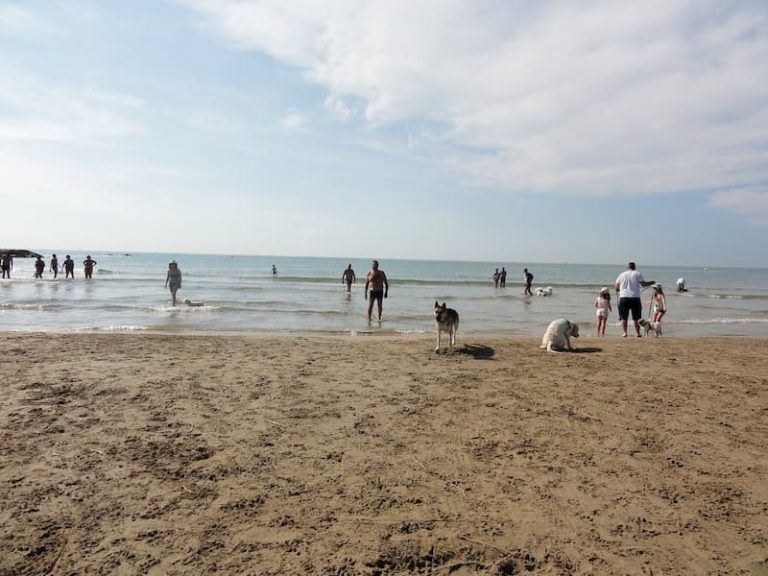 Les salines playa de perros en Cubelles