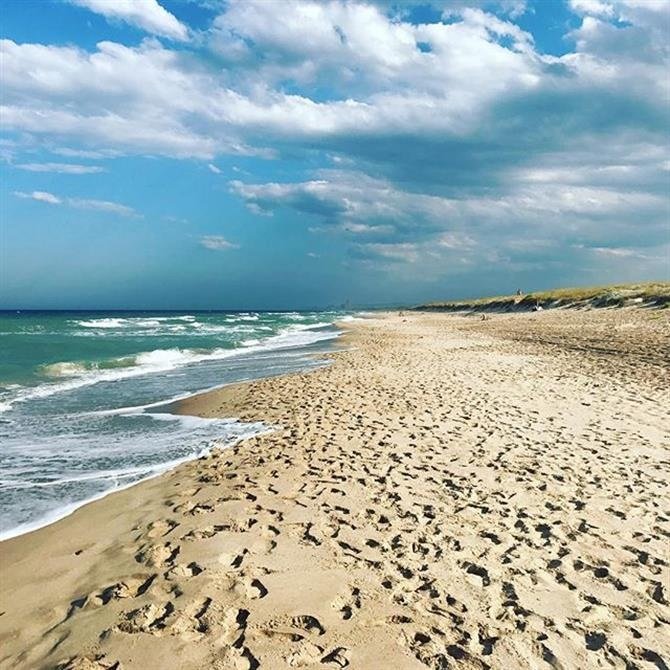 playa La Devesa
