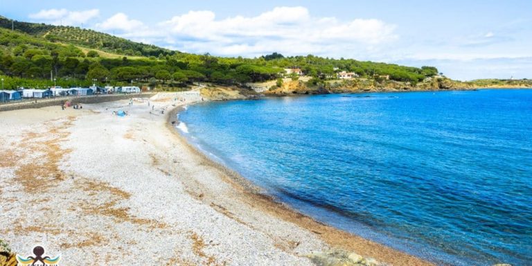 Playa de Port de la Vall