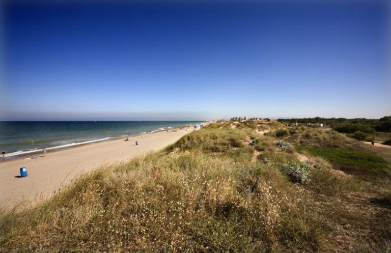 Playa La garrofera
