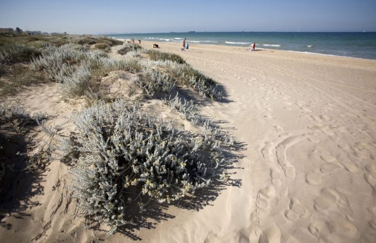 Playa L'Arbre del Gos