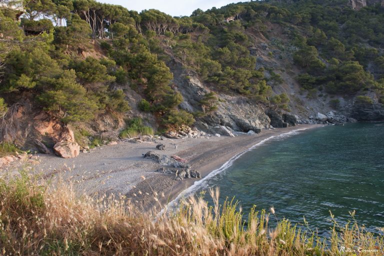 Playa Fonda Begur