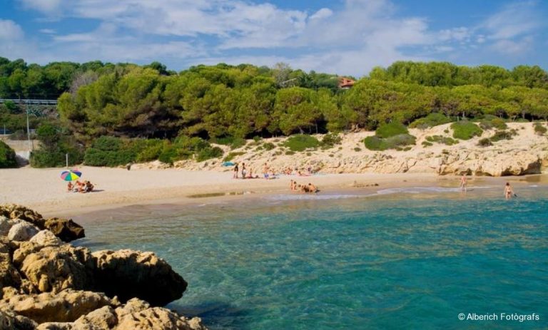 Playa els capellans