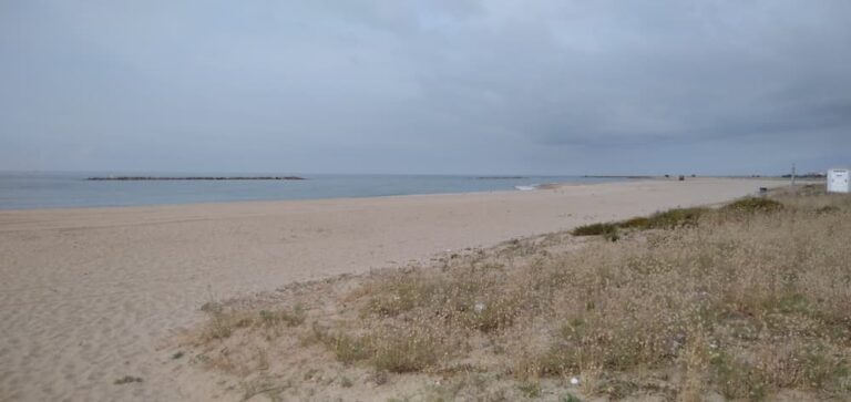 Qué debe tener una playa para ir con niños